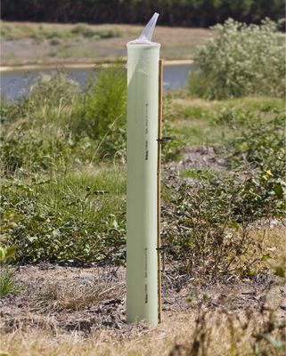 TubexĀ® Tree Shelters