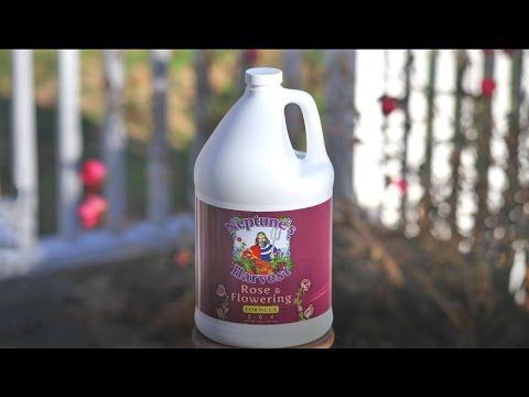 Neptune's Harvest® Rose &amp; Flowering Fertilizer 2-6-4