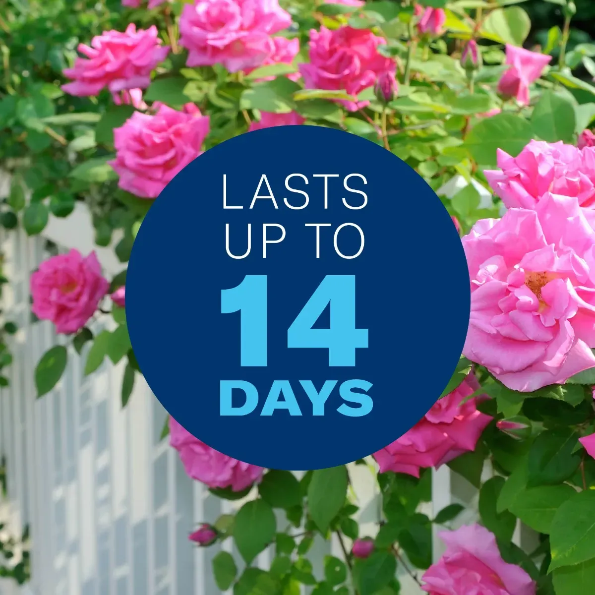 BioAdvanced® All in One Rose &amp; Flower Care