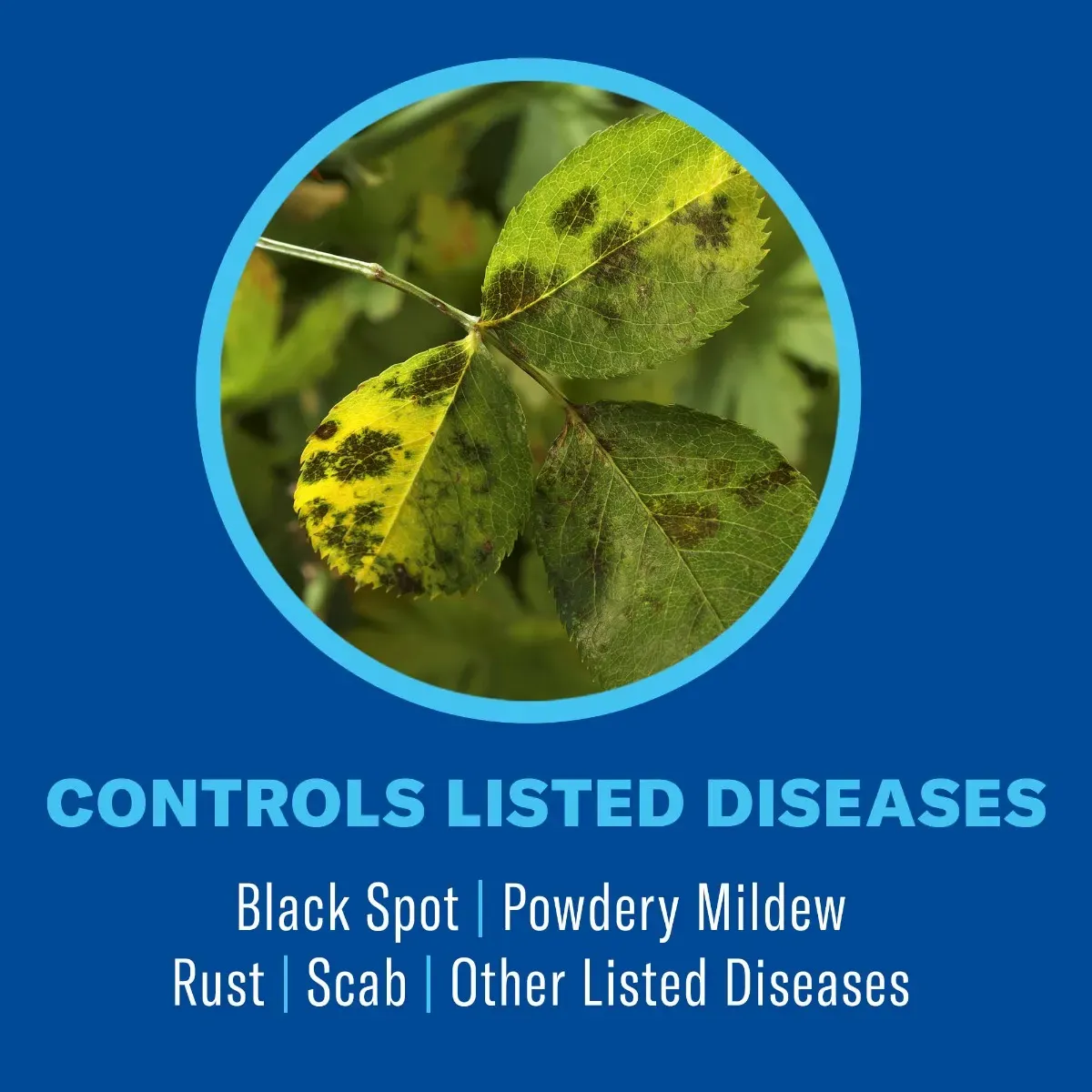 BioAdvanced® All in One Rose &amp; Flower Care