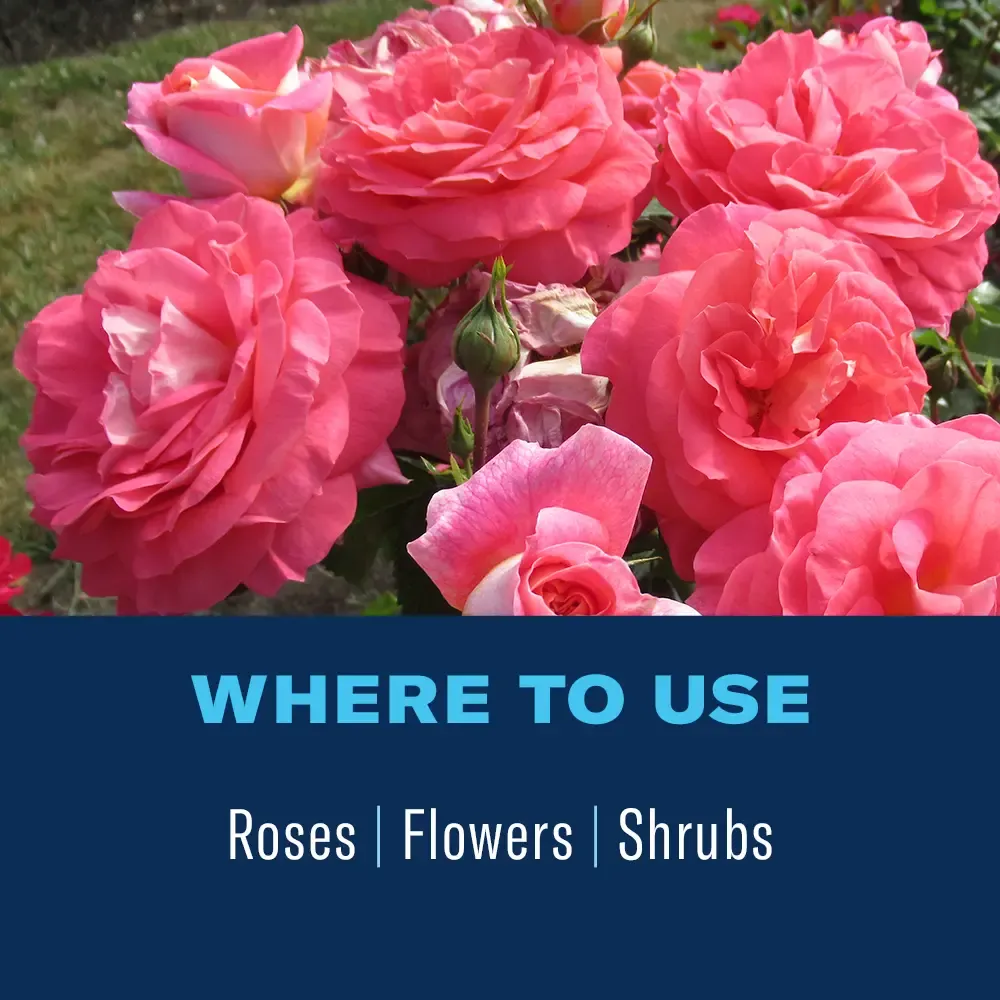 BioAdvanced® 2-in-1 Systemic Rose &amp; Flower Care II