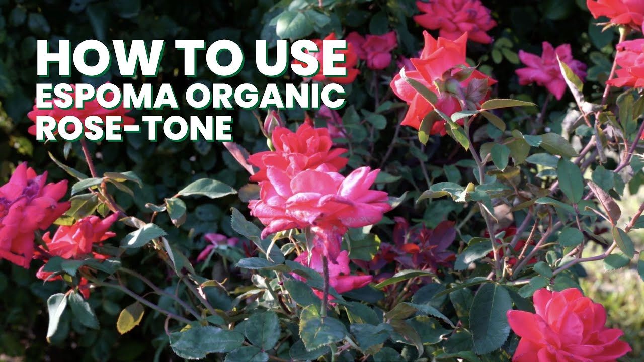 Espoma® Organic® Rose-tone® 4-3-2