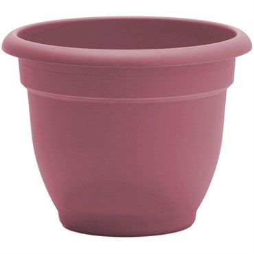 Bloem® Ariana Planter 10"