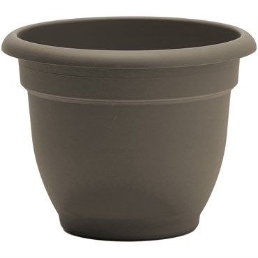 Bloem® Ariana Planter 10"