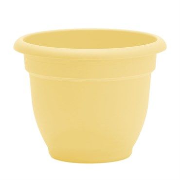 Bloem® Ariana Planter 10"