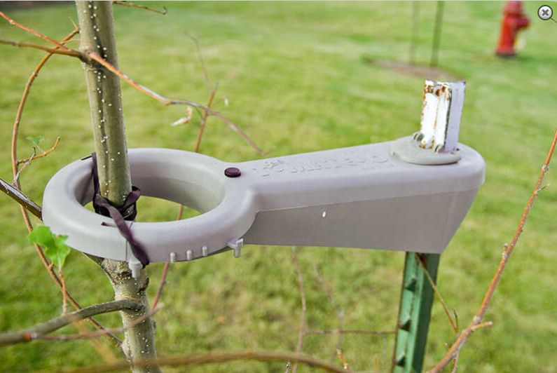 Tree-Mate-O