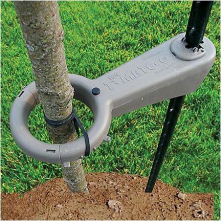 Tree-Mate-O