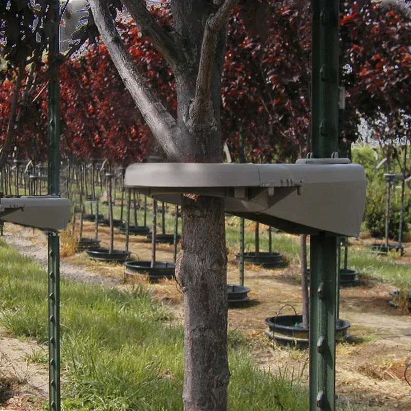 Tree-Mate-O