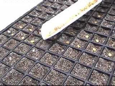 Gromor Vibro Battery Powered Hand Seeder