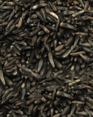 Wetsel Seed™ Nyjer Seed