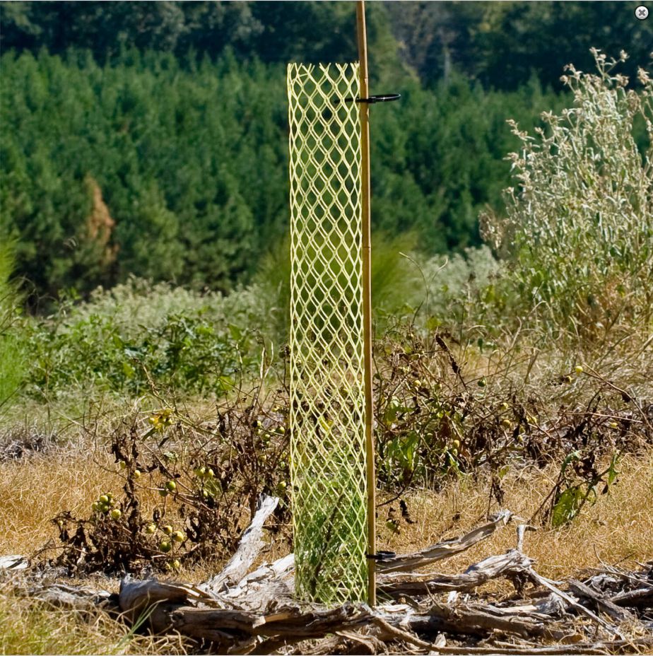 Rigid Seedling Protector Tubes