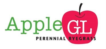 Apple 3GL Perennial Ryegrass