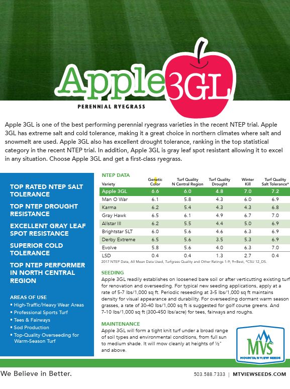 Apple 3GL Perennial Ryegrass