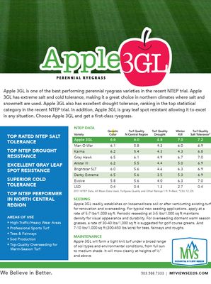 Apple 3GL Perennial Ryegrass