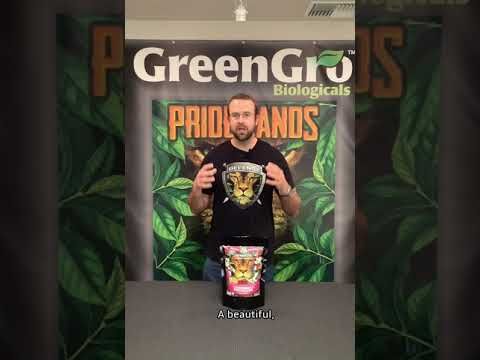 GreenGro™ Biologicals Rose &amp; Flower Fertilizer 3-8-5