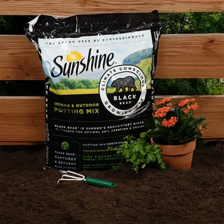 Sun Gro® Sunshine® Black Bear® Indoor &amp; Outdoor Potting Mix