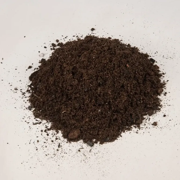 Sun Gro® Sunshine® Black Bear® Indoor &amp; Outdoor Potting Mix