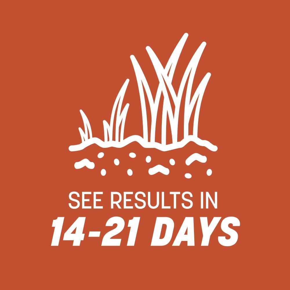 Pennington® Bermudagrass Grass Seed