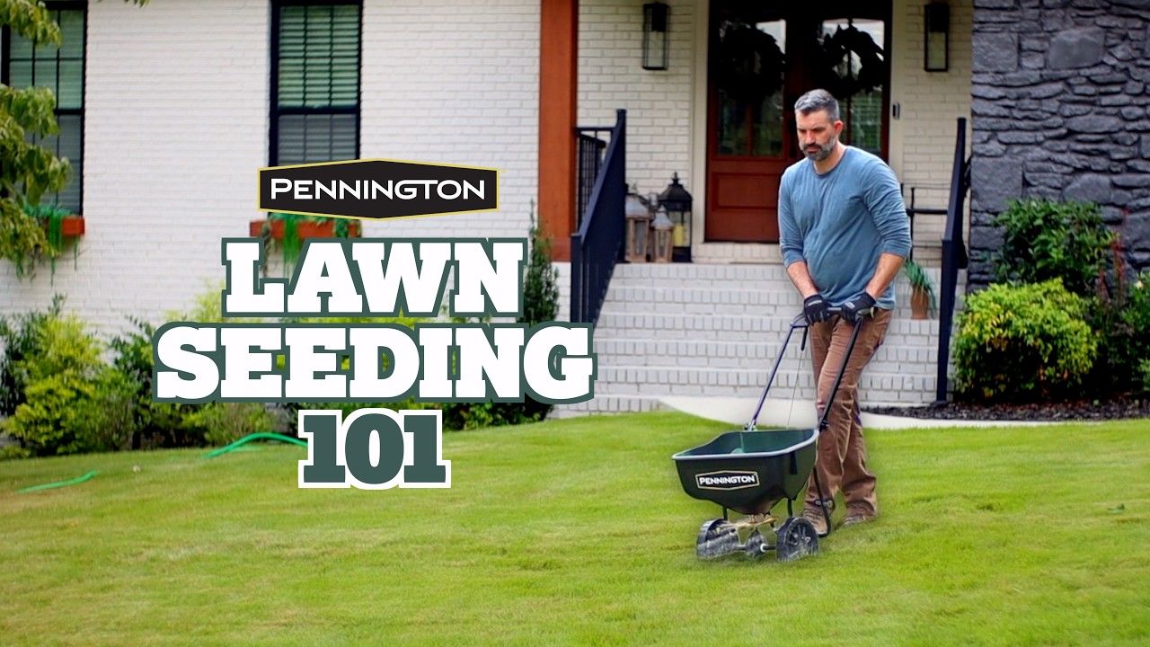 Pennington® Bermudagrass Grass Seed