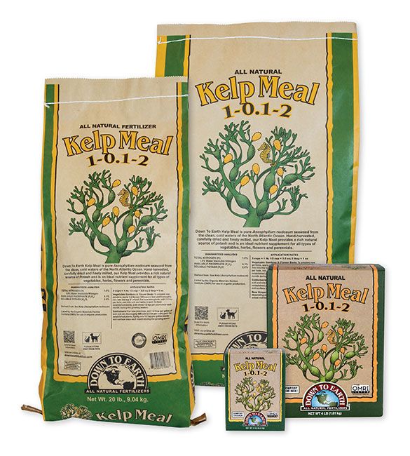 Down to Earth™ Kelp Meal 1-0.1-2