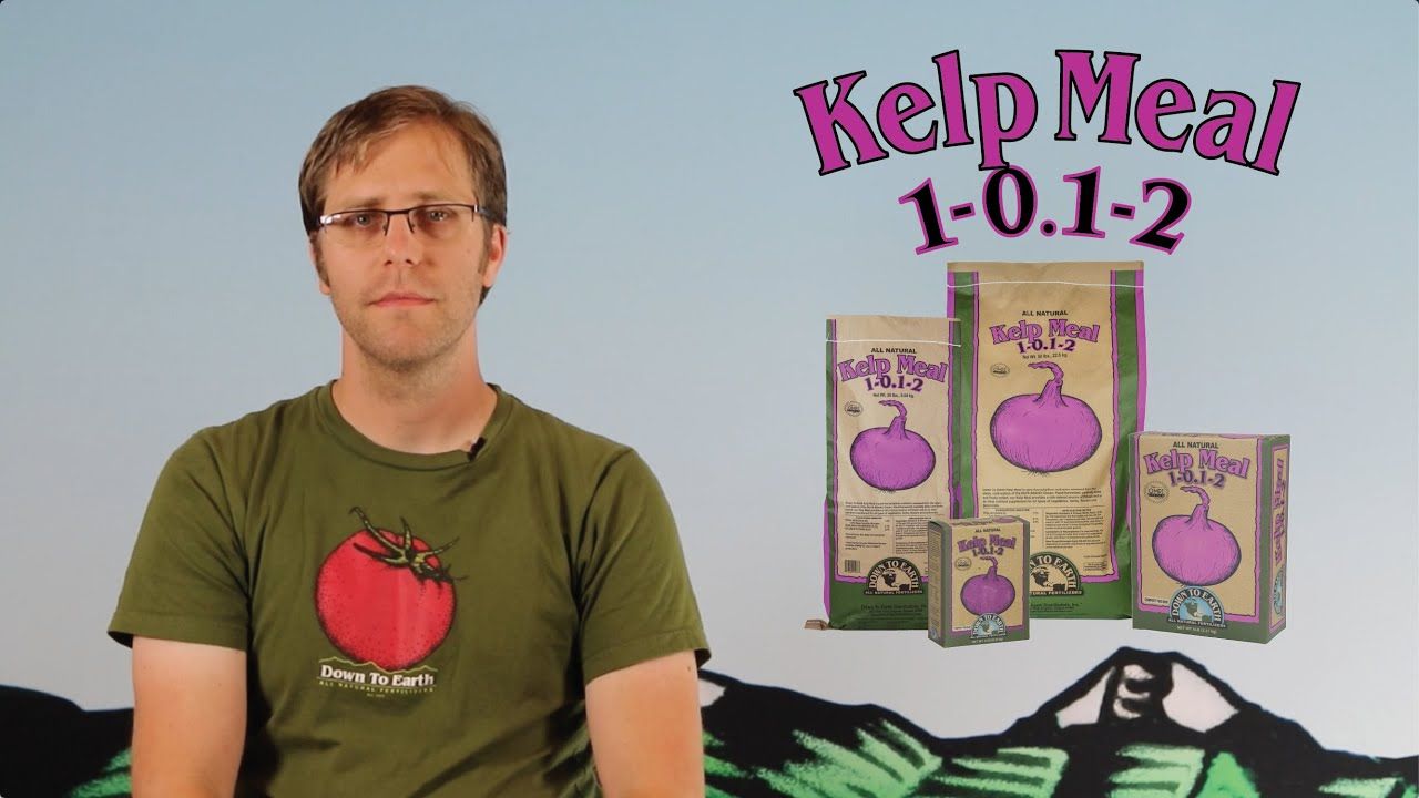 Down to Earth™ Kelp Meal 1-0.1-2