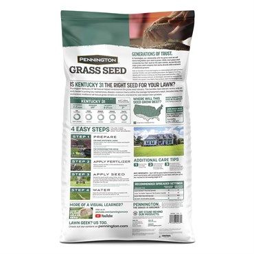 Pennington® Kentucky 31 Tall Fescue Grass Seed
