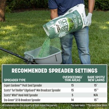 Pennington® Kentucky 31 Tall Fescue Grass Seed
