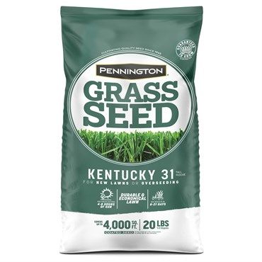Pennington® Kentucky 31 Tall Fescue Grass Seed