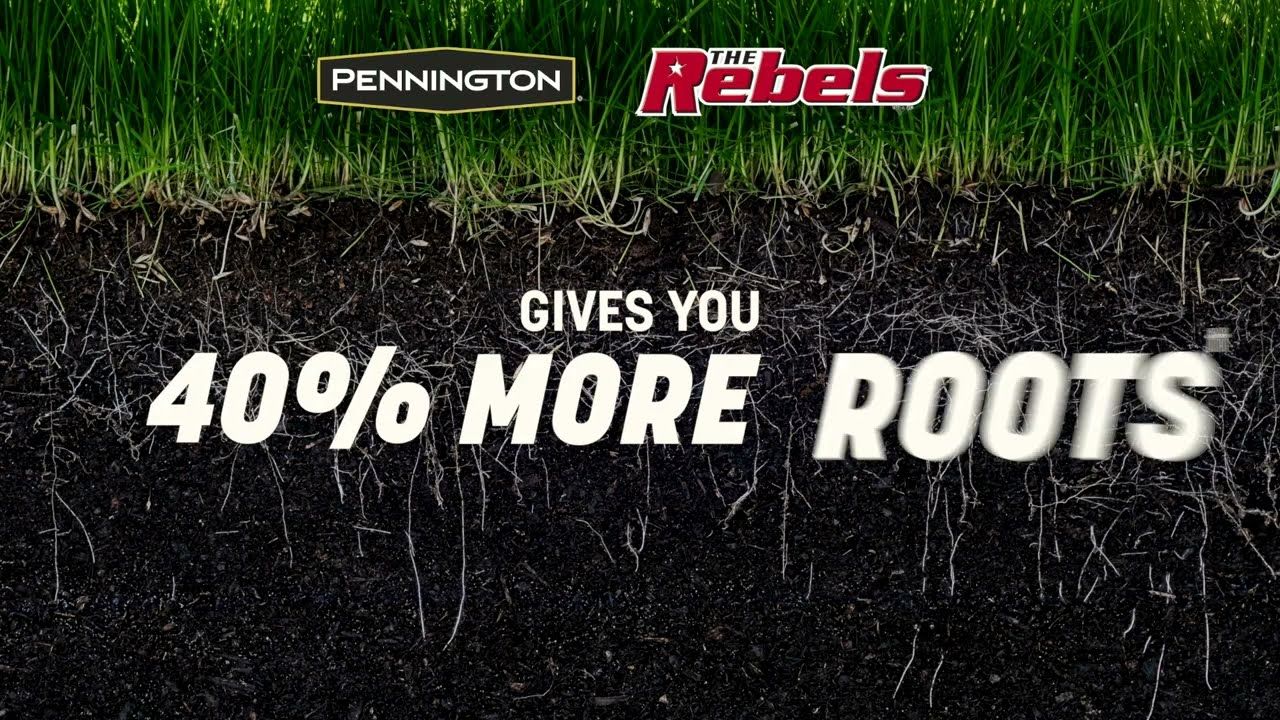 Pennington® The Rebels® Tall Fescue Grass Seed Blend