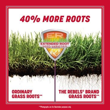 Pennington® The Rebels® Tall Fescue Grass Seed Blend