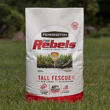 Pennington® The Rebels® Tall Fescue Grass Seed Blend Pennington® The Rebels® Tall Fescue Grass Seed Blend