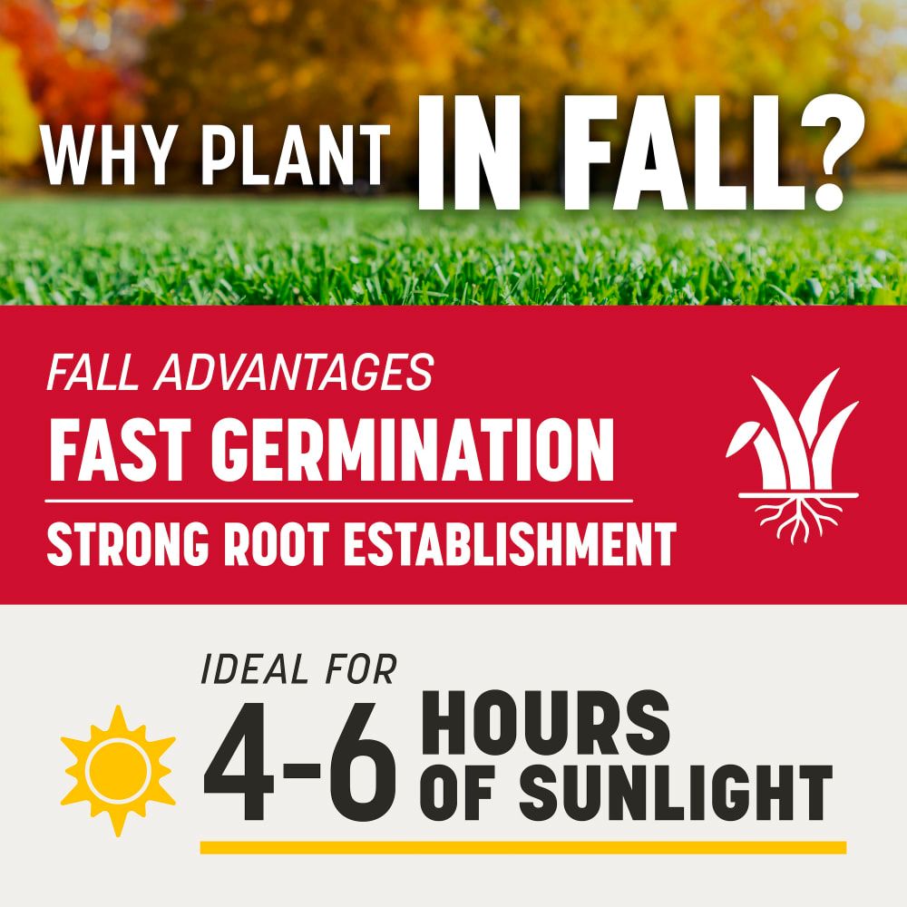 Pennington® The Rebels® Tall Fescue Grass Seed Blend