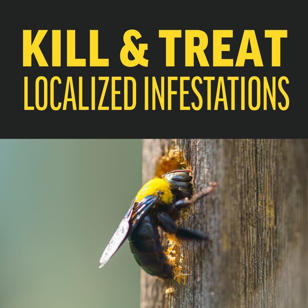 Amdro® Quick Kill Carpenter Bee Killer