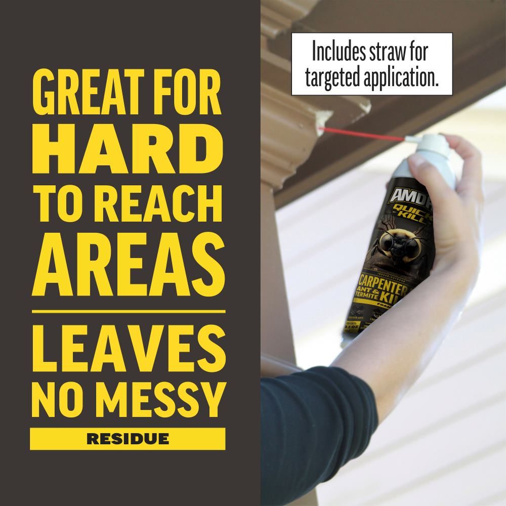 Amdro® Quick Kill Carpenter Bee Killer
