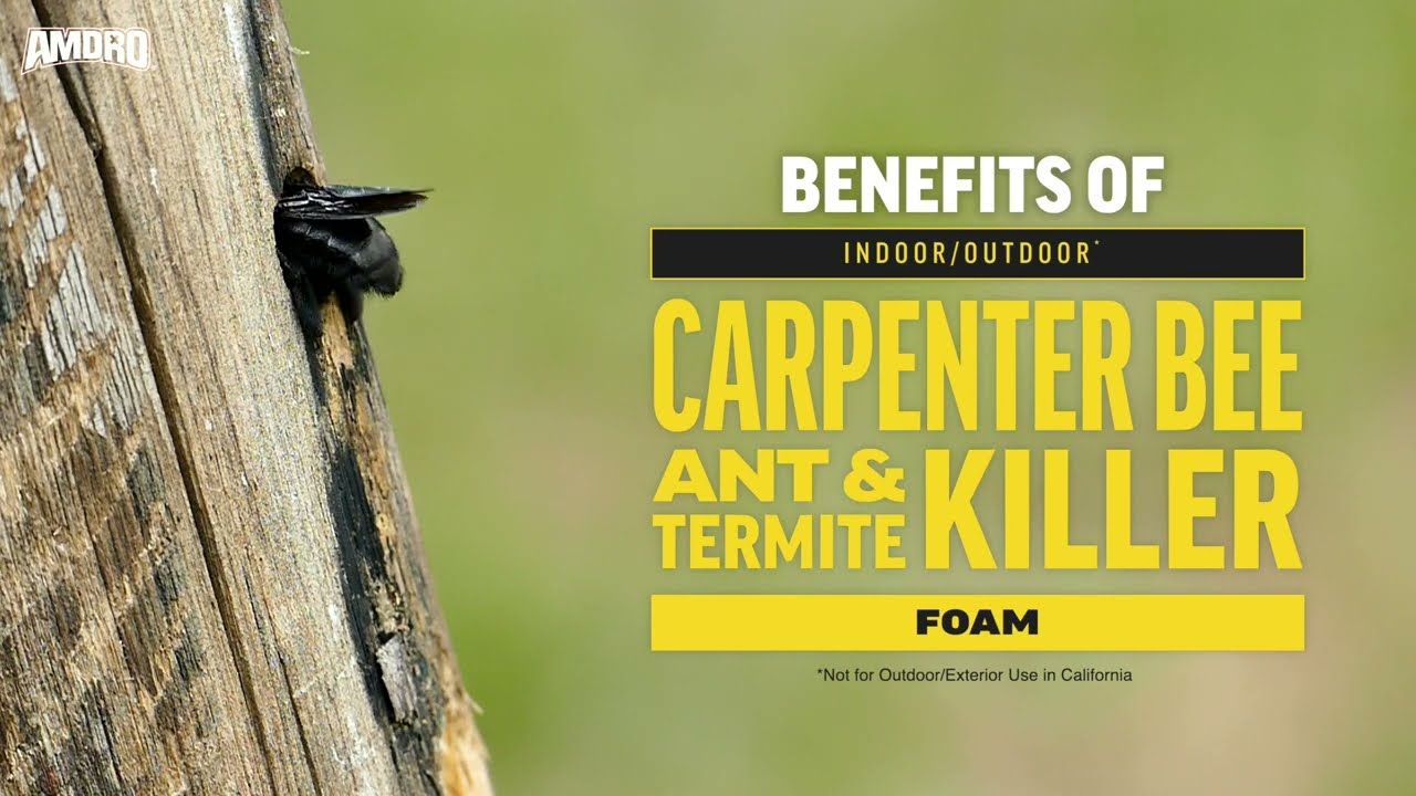 Amdro® Quick Kill Carpenter Bee Killer