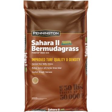 Pennington® Sahara II Bermudagrass Grass Seed Pennington® Sahara II Bermudagrass Grass Seed