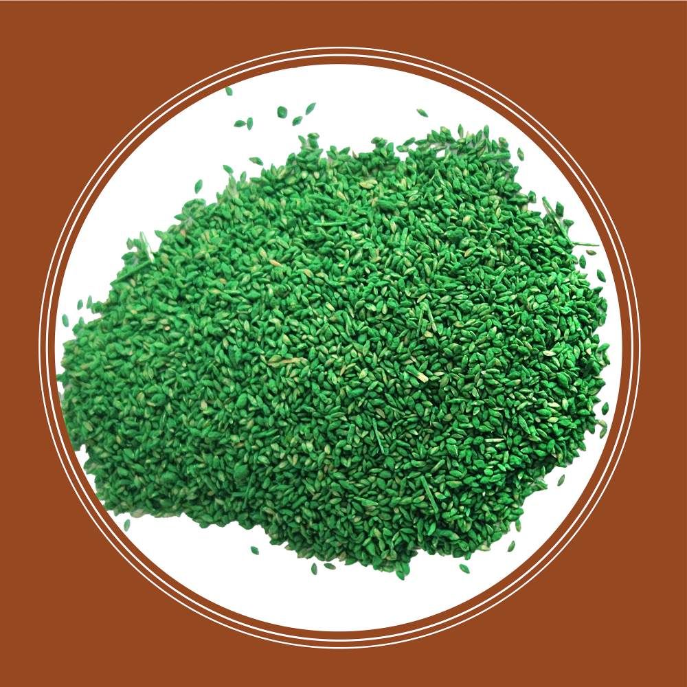 Pennington® Sahara II Bermudagrass Grass Seed