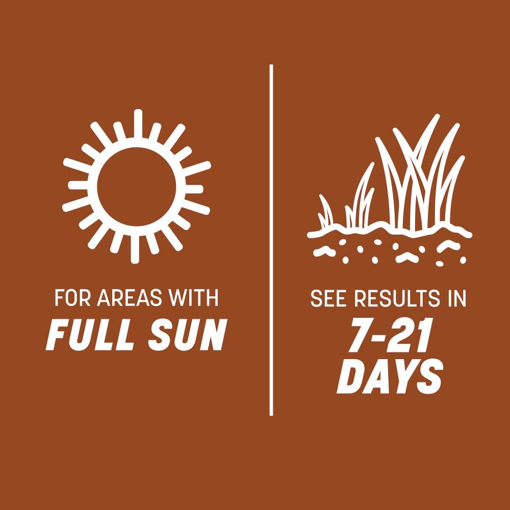 Pennington® Sahara II Bermudagrass Grass Seed