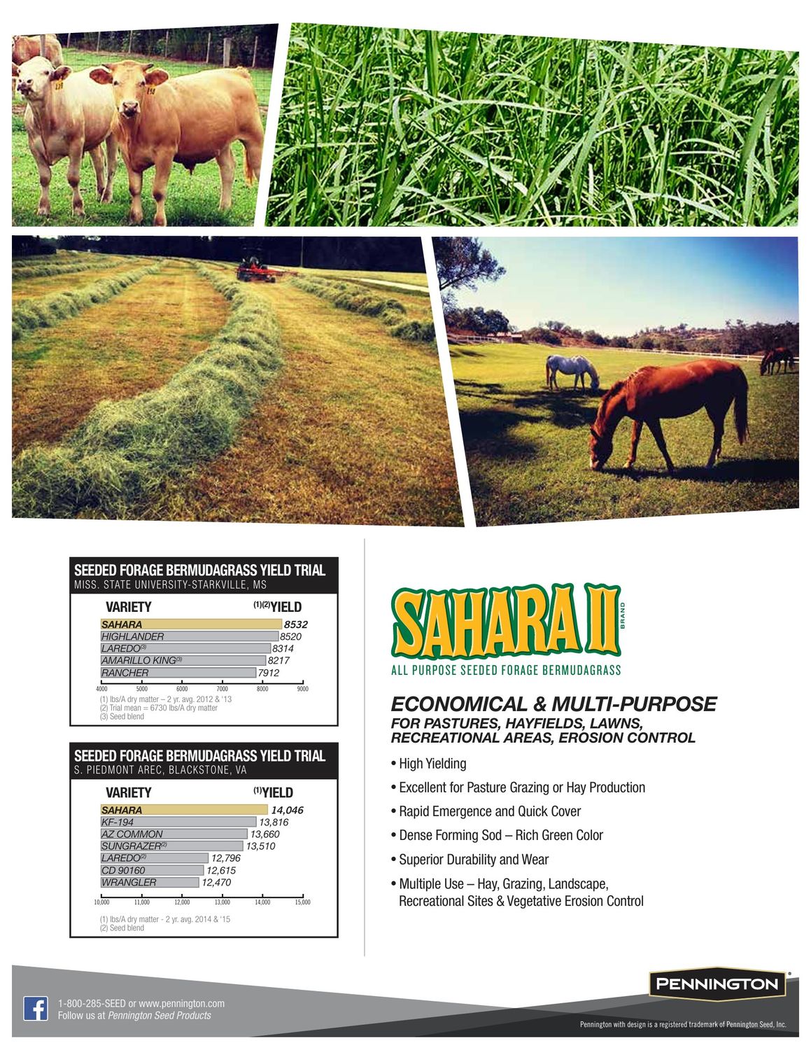 Pennington® Sahara II Bermudagrass Grass Seed