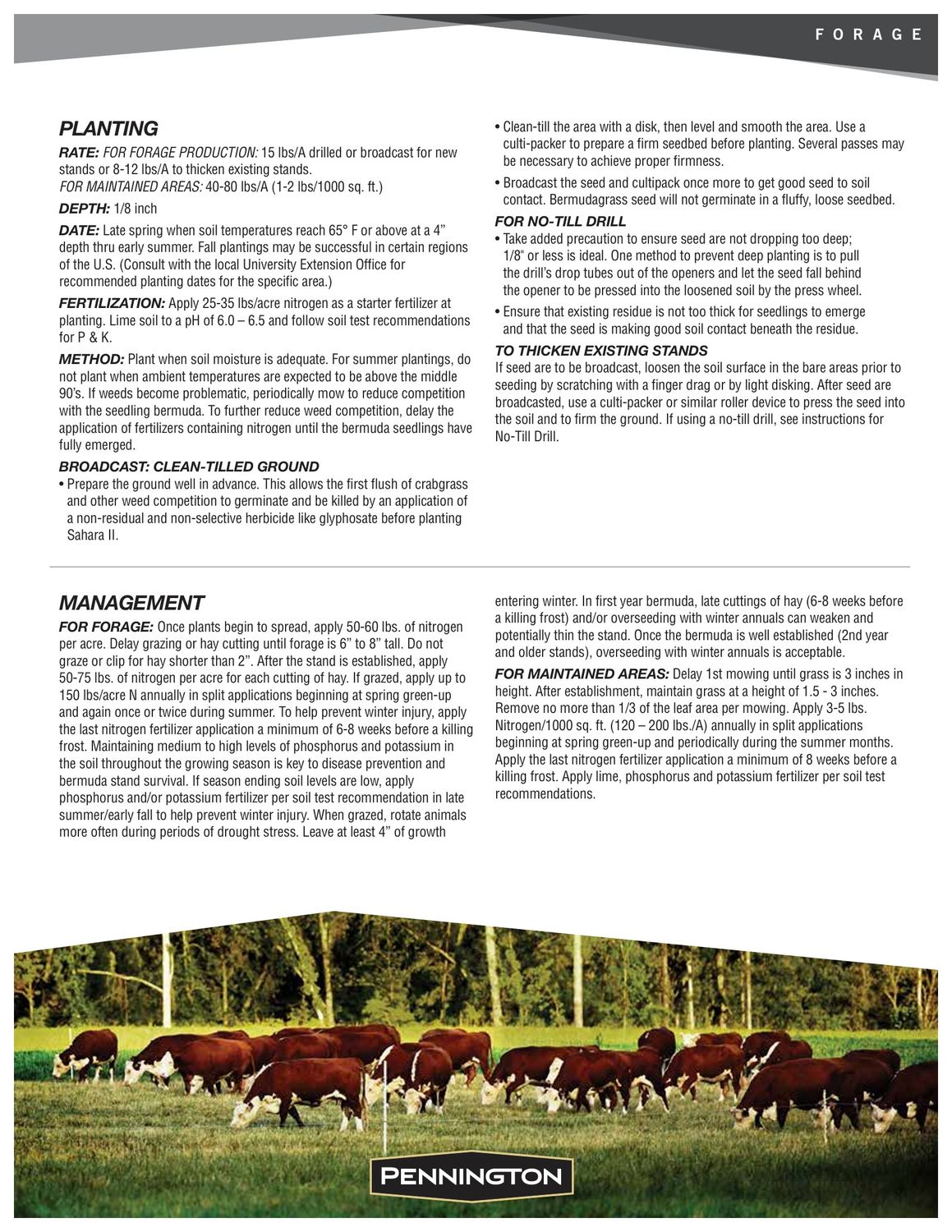 Pennington® Sahara II Bermudagrass Grass Seed