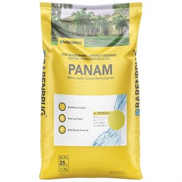 Barenbrug® PanAm™ Bermudagrass Seed Blend
