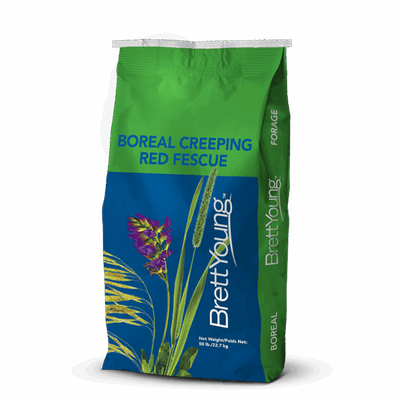 Boreal Creeping Red Fescue Seed Boreal Creeping Red Fescue Seed