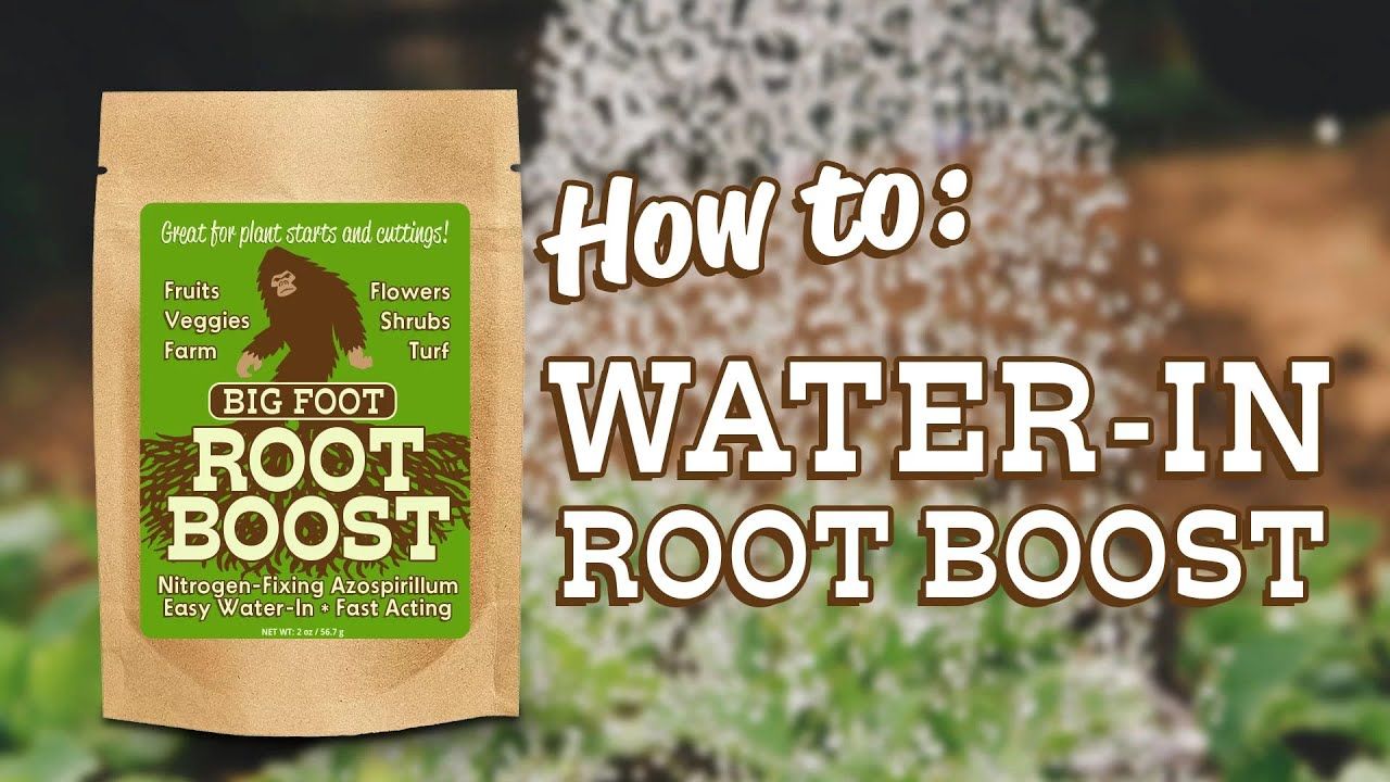 Big Foot™ Root Boost Nitrogen-Fixing Azospirillum