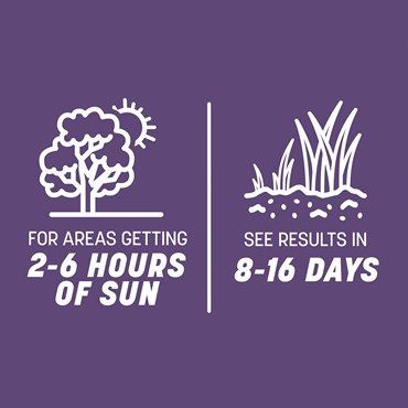 Pennington® Smart Seed® Dense Shade Grass Seed &amp; Fertilizer Mix