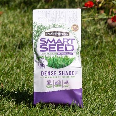 Pennington® Smart Seed® Dense Shade Grass Seed &amp; Fertilizer Mix