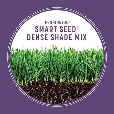 Pennington® Smart Seed® Dense Shade Grass Seed &amp; Fertilizer Mix