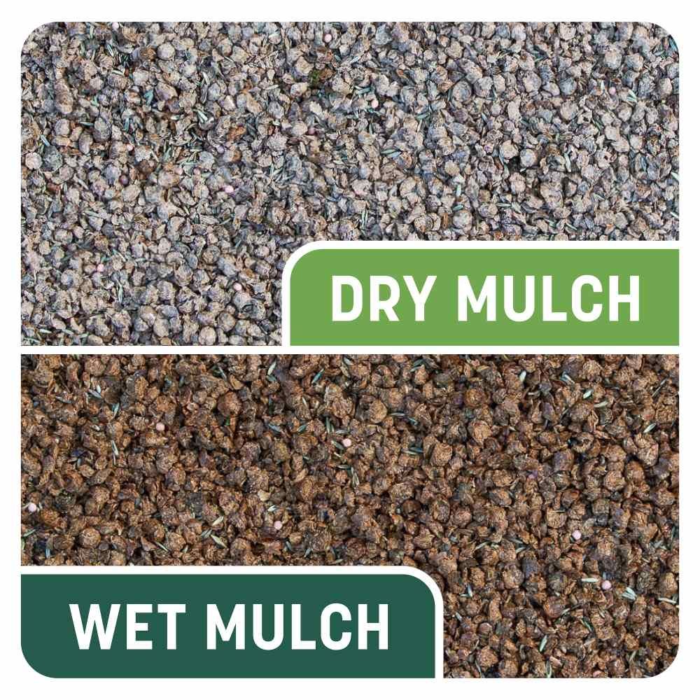Pennington® Smart Patch Tall Fescue Mix