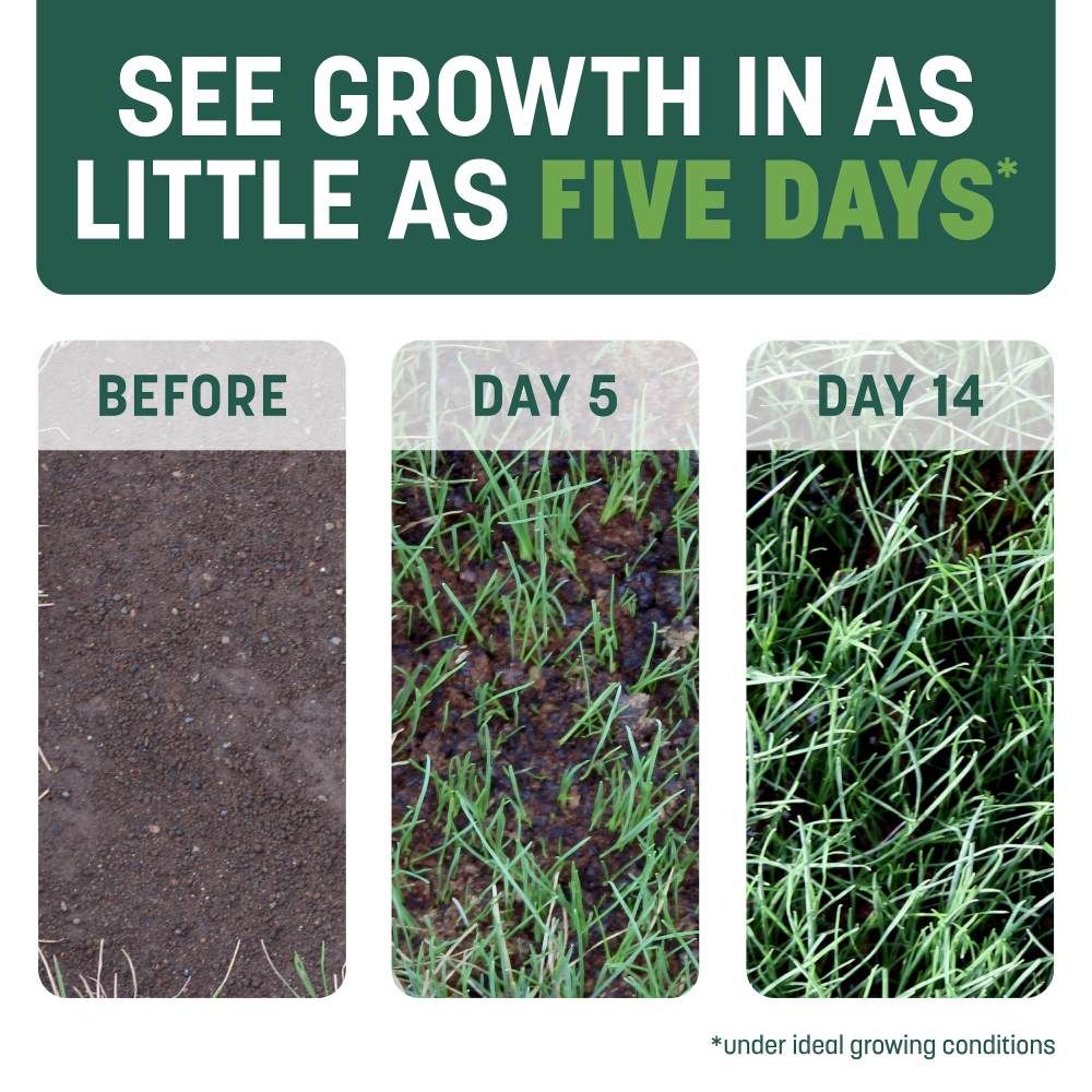 Pennington® Smart Patch Tall Fescue Mix