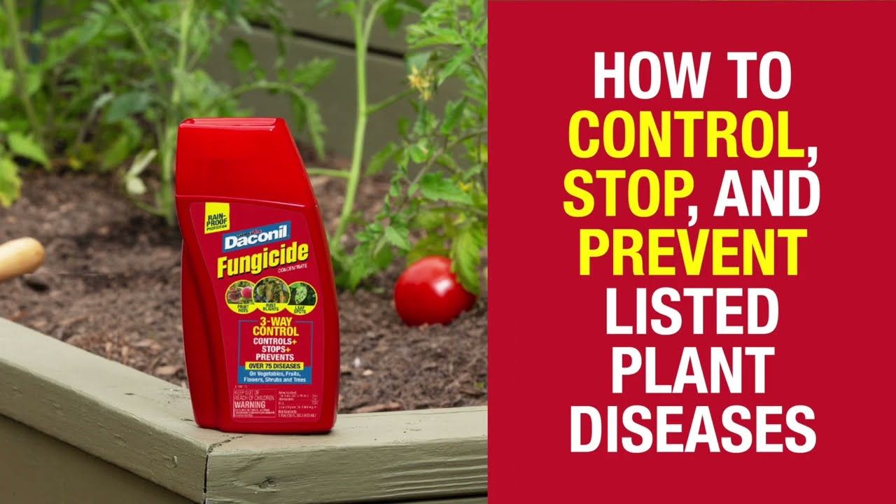 GardenTech® Daconil® Fungicide