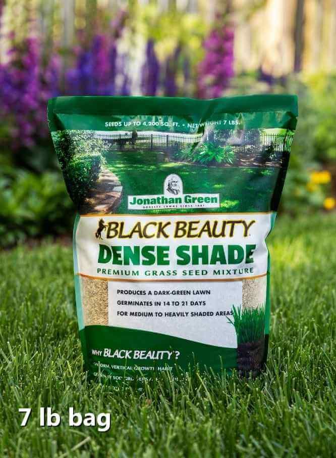 Jonathan Green® Black Beauty™ Dense Shade Grass Seed Mix